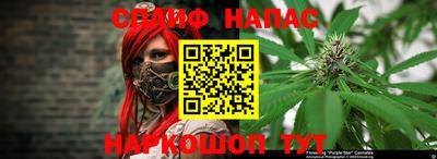 spice Будённовск