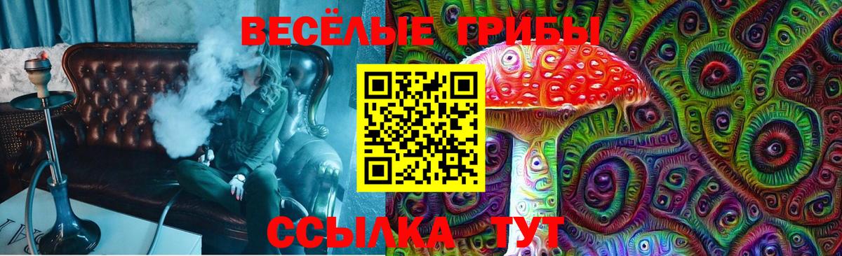 Галлюциногенные грибы мухоморы Звенигород