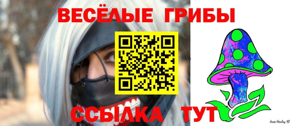 Псилоцибиновые грибы Magic Shrooms  Галлюциногенные грибы мицелий  Вход с VPN  Звенигород 