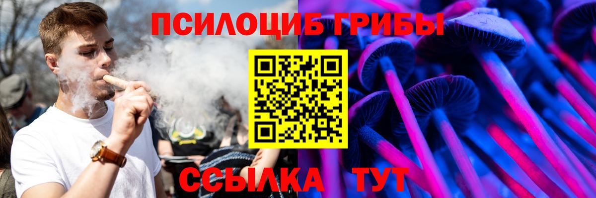 Галлюциногенные грибы мицелий Звенигород